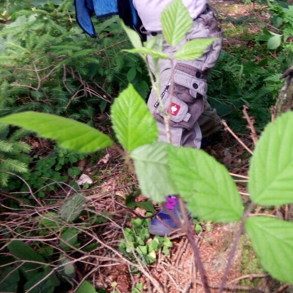 Übergangszeiten im Wald - Welche Kleidung eignet sich?