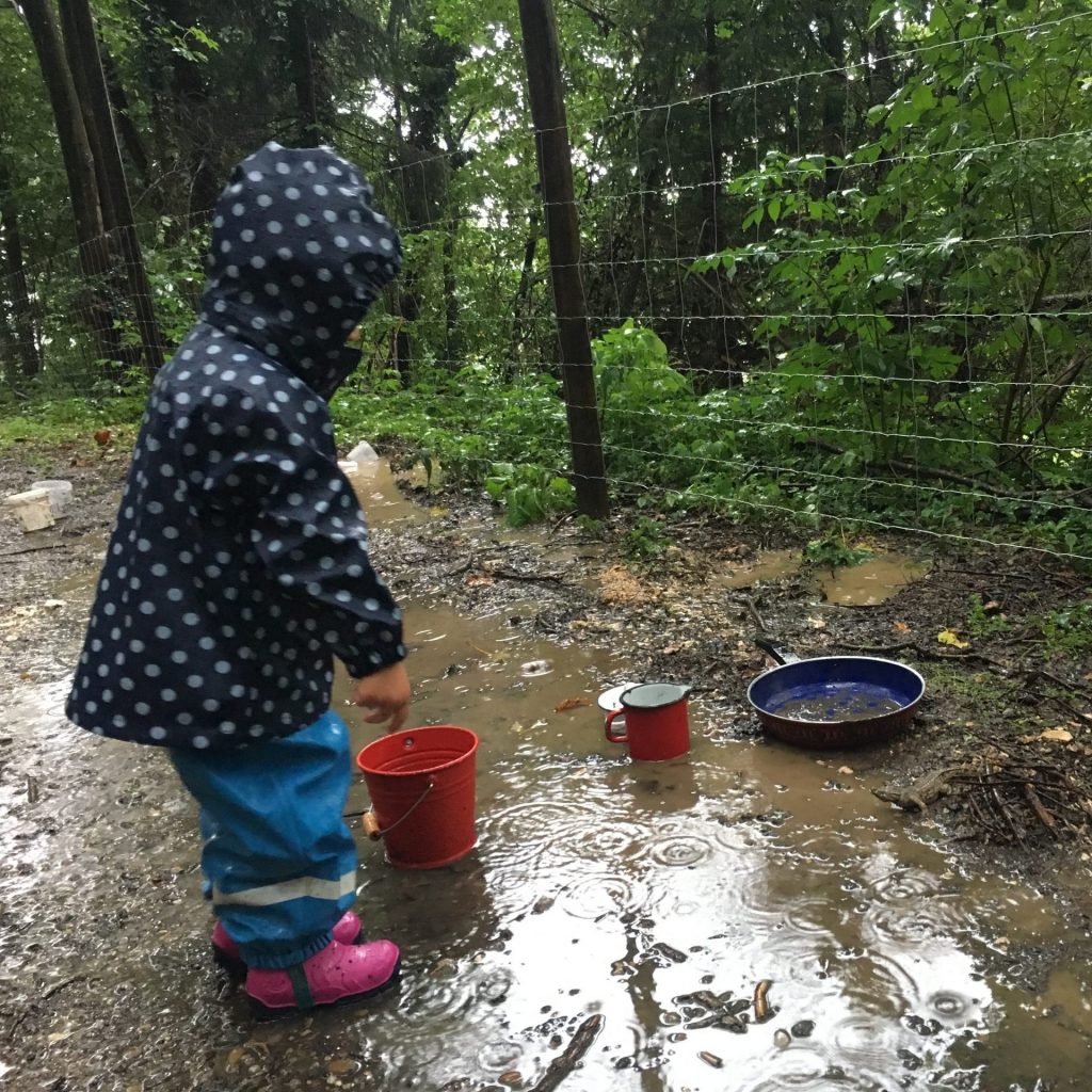 Abenteuer Wald – wie alles begann…