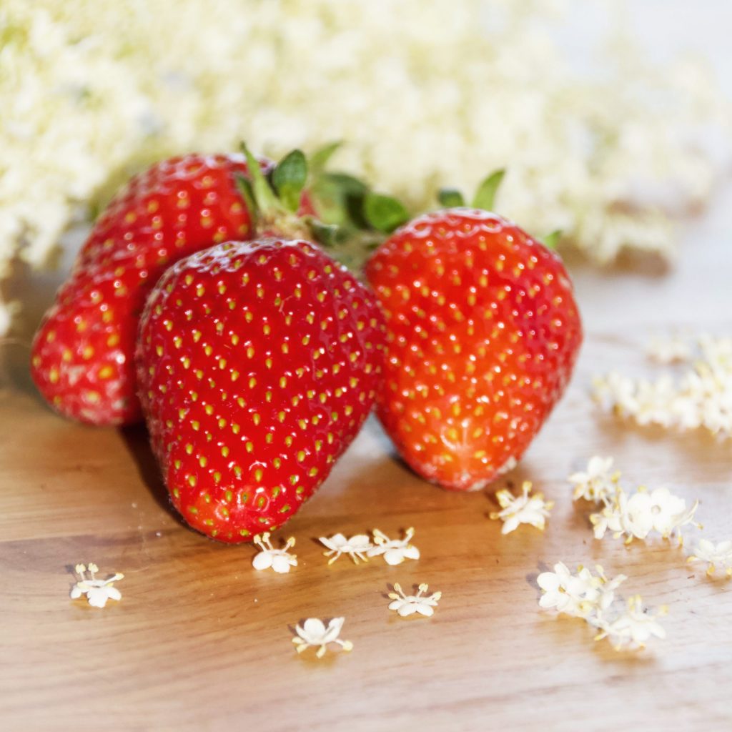 Erdbeer-Holunderblüten-Marmelade – einfaches Rezept - Raus im Walde