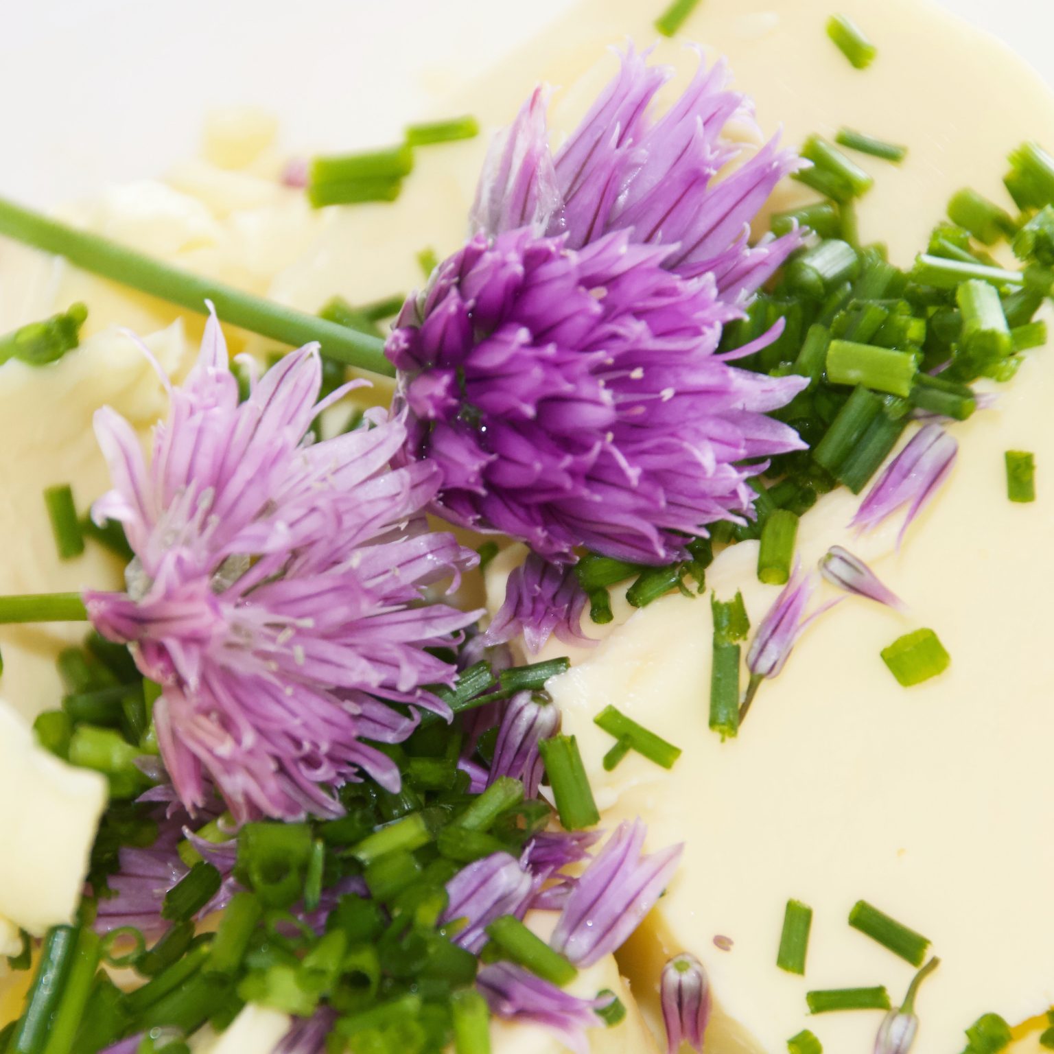 Schnittlauchblüten-Butter – ein Traum auf frischem Brot - Raus im Walde