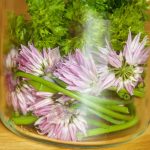 Schnittlauchblüten-Öl – perfekt zu Salaten