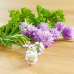 Schnittlauchblüten-Essig – herzhaft würziger Geschmack