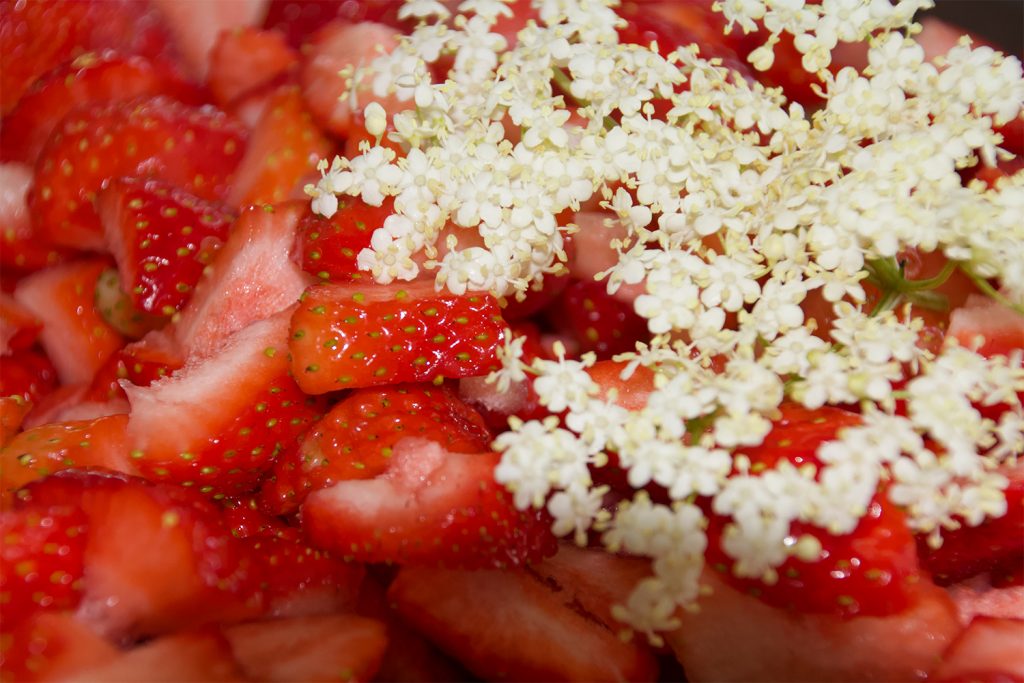 Erdbeer-Holunderblüten-Marmelade – einfaches Rezept | Raus im Walde