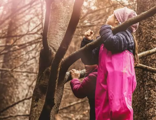 Wald-Start | März oder September? Was ist zu beachten?