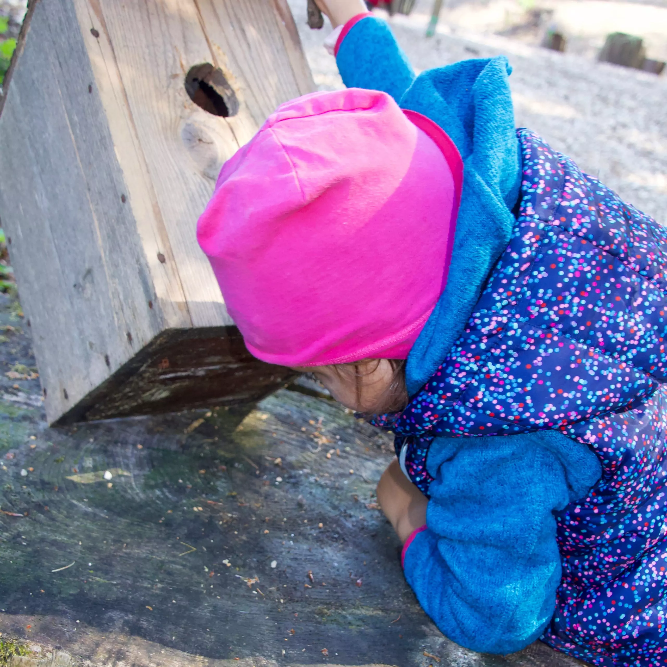 Sommer-Mützen-Check – Vor- & Nachteile verschiedener Kopfbedeckungen im Waldkindergarten
