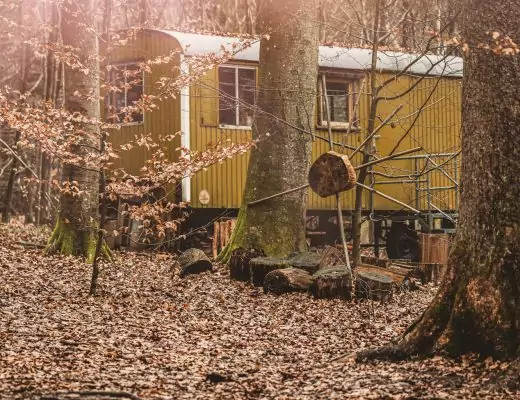 Übergang von Sommer zu Herbst – was ist jetzt im Waldkindergarten zu beachten?