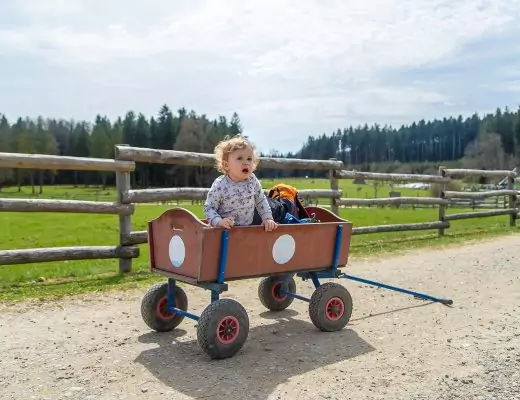 Bollerwagen - Ein Muss für Ausflüge, Urlaub und Kindergeburtstage
