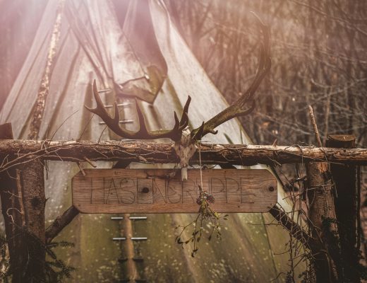 10 Dinge, die ich gerne VOR unserem Start im Waldkindergarten gewusst hätte