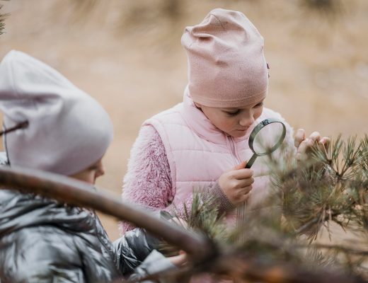 Knospen-Rätsel: Wer schläft da eigentlich am Zweig?