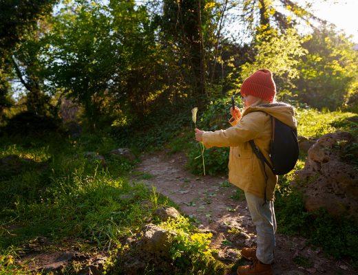 Wald-Rucksack: Was wirklich hineingehört (und was zu Hause bleiben kann)