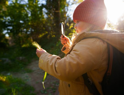 „Aber mein Kind lernt dort doch gar nichts!“ – Warum Waldpädagogik die beste Schulvorbereitung ist