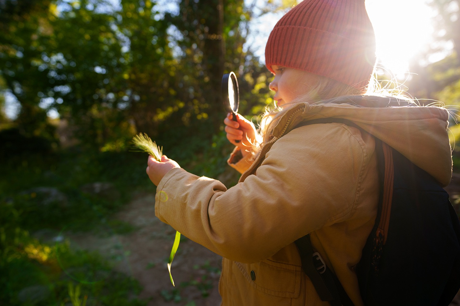 „Aber mein Kind lernt dort doch gar nichts!“ – Warum Waldpädagogik die beste Schulvorbereitung ist