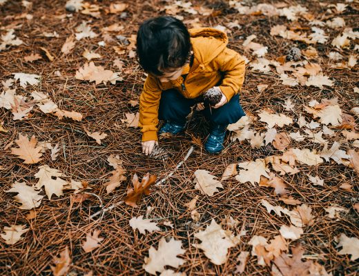 Das große Wald-Orchester: Musikinstrumente aus Naturmaterialien basteln