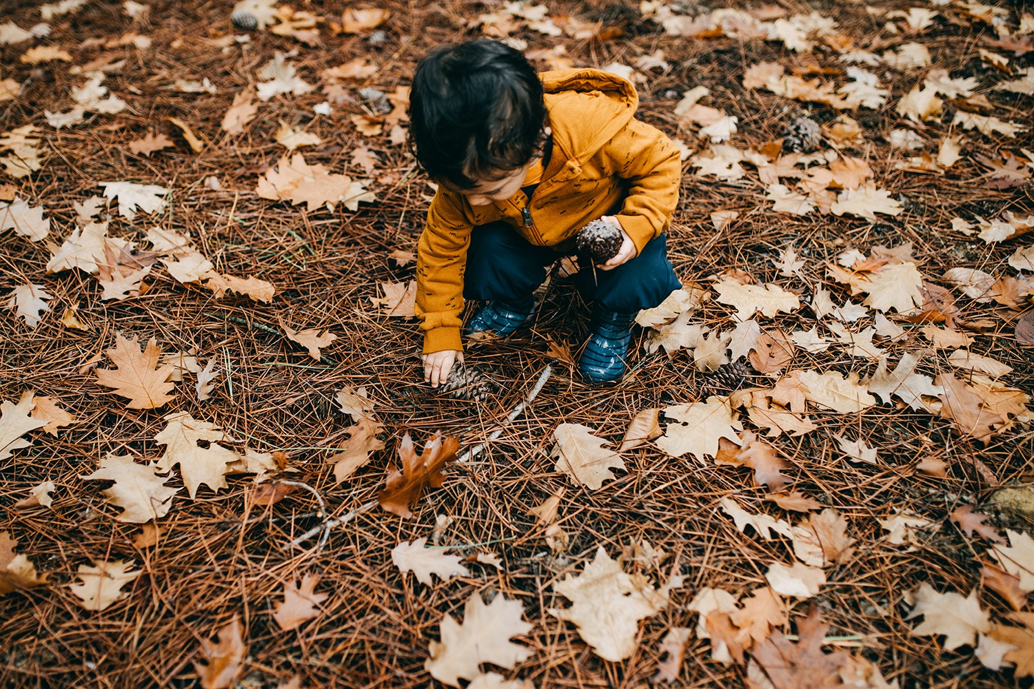 Das große Wald-Orchester: Musikinstrumente aus Naturmaterialien basteln