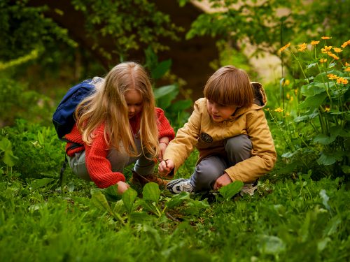 Checkliste für den täglichen Zeckenschutz nach dem Waldkindergarten.