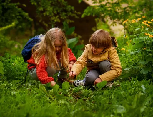 Checkliste für den täglichen Zeckenschutz nach dem Waldkindergarten.