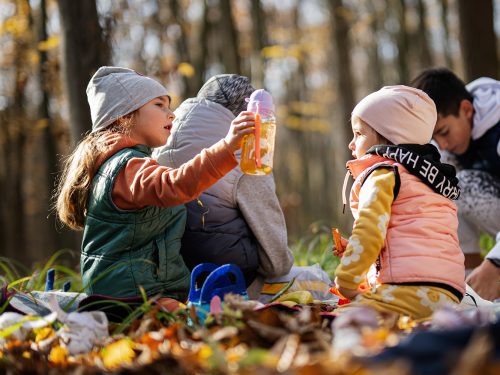 Vesper & Trinken im Wald – so klappt’s ohne Matsch und Frust